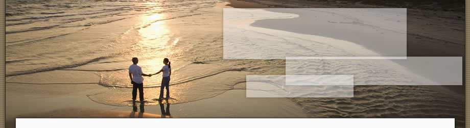 Header Graphic